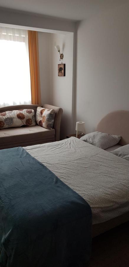Dobricin Konak, Apartman 202 Kopaonik Bagian luar foto