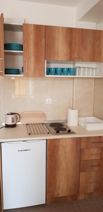 Dobricin Konak, Apartman 202 Kopaonik Bagian luar foto