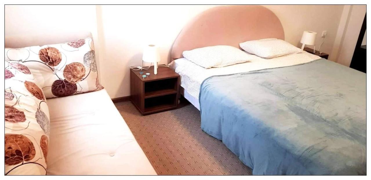Dobricin Konak, Apartman 202 Kopaonik Bagian luar foto